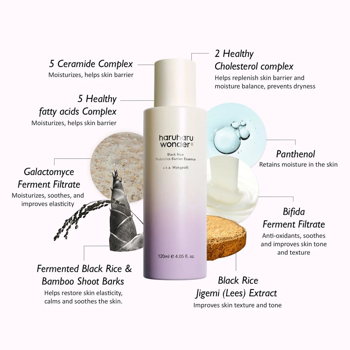 Haruharu Wonder Black Rice Night Knight Retinol Serum | Gentle Anti-Aging & Brightening Night Serum
